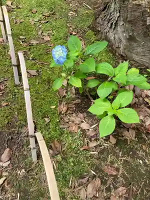 寿福寺(神奈川県)