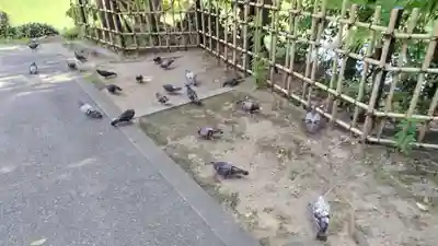 嚴島神社 (京都御苑)(京都府)