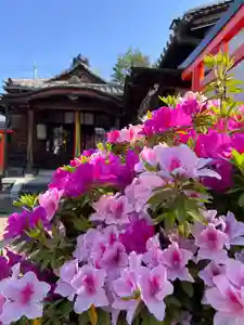 崇道天皇社(奈良県)(2025年04月26日(土) 09時19分49秒投稿)