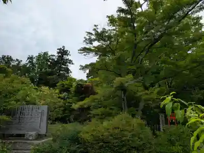 多聞院(埼玉県)