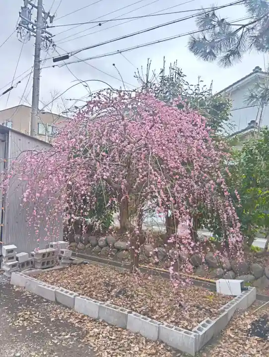 加納天満宮(岐阜県)