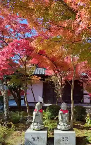 禅林寺（永観堂）(京都府)