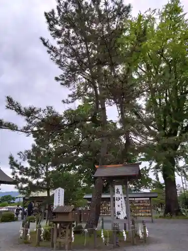 阿蘇神社の建物その他