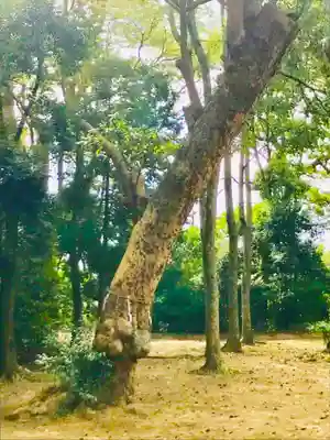 諏訪大神の周辺