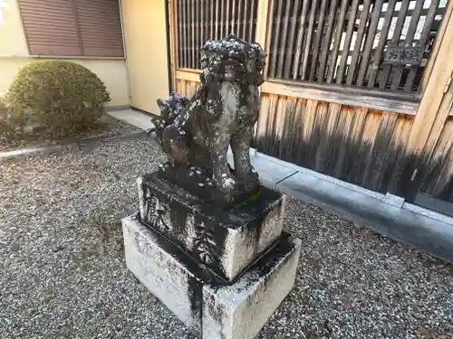 杵築神社の狛犬