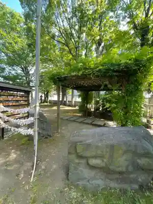 戸部杉山神社の{uncategorized: "未分類", other: "その他", undefined: "問題あり", building: "その他建物", grave: "お墓", sacred_gate: "鳥居", guardian: "狛犬", statue: "像", buddha: "仏像", history: "歴史", nature: "自然", garden: "庭園", animal: "動物", pagoda: "塔", temizu: "手水舎", mountain_gate: "山門・神門", sanctuary: "本殿・本堂", subordinate: "末社・摂社", art: "芸術", scenery: "景色", jizo: "地蔵", ema: "絵馬", goshuin: "御朱印", omikuji: "おみくじ", items: "授与品その他", amulet: "お守り", goshuincho: "御朱印帳", eats: "食事", festival: "お祭り", votive_dance: "神楽", shichigosan: "七五三参", wedding: "結婚式", experience: "体験その他", initially: "初詣", around: "周辺", anti_infection: "感染症対策"}