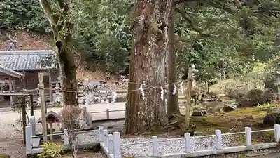 葛神社(奈良県)