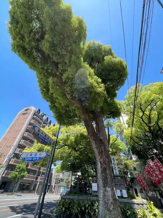 若一神社(京都府)
