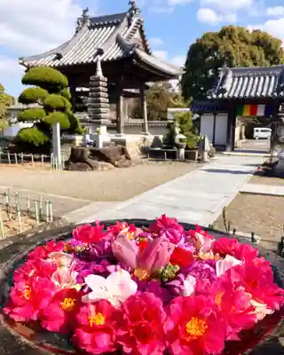真言宗　善通寺派　薬王寺(香川県)