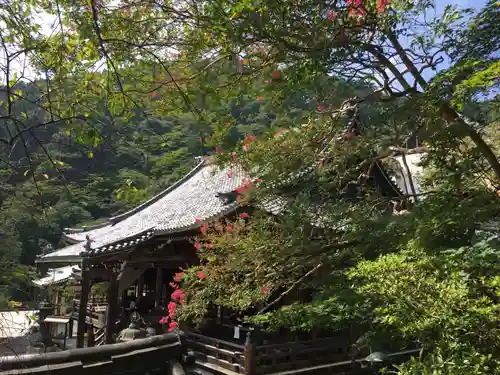 善峯寺の本殿・本堂