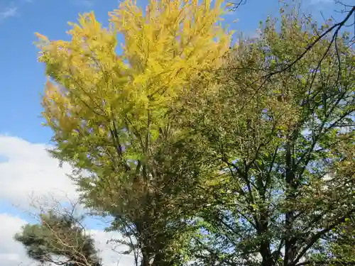 薬王寺(福島県)