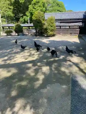 玉祖神社(山口県)