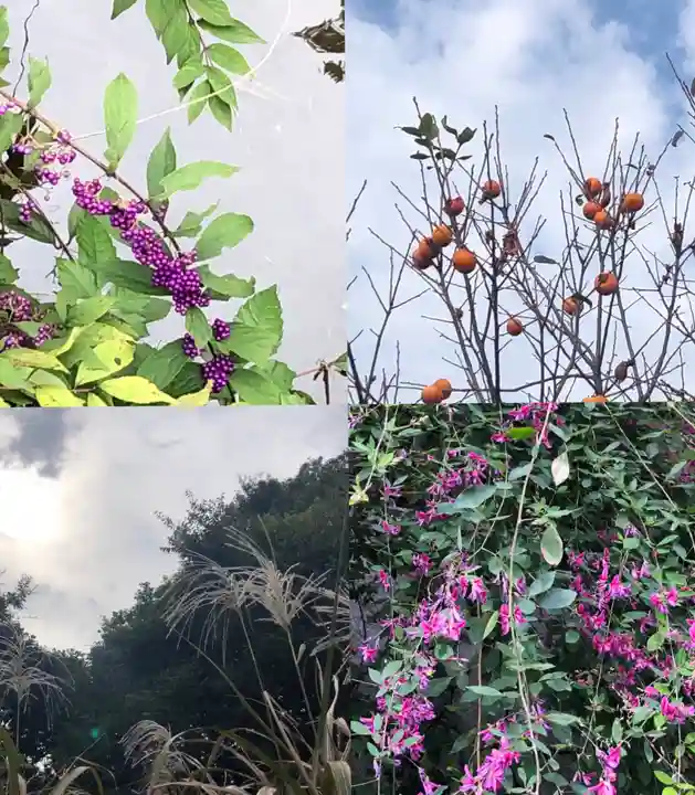 南沢氷川神社のその他建物
