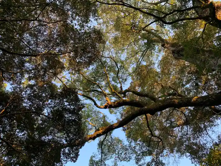 宇佐神宮の自然