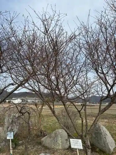 下太田廃寺塔跡(兵庫県)