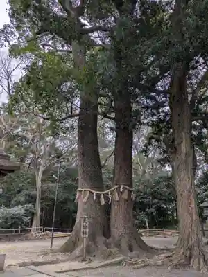 男神社(大阪府)
