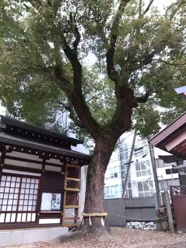 堀川戎神社の庭園