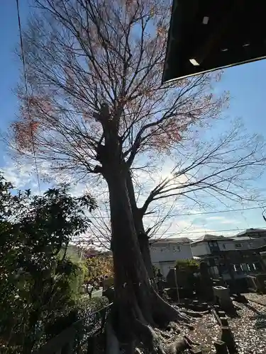春日神社(東京都)