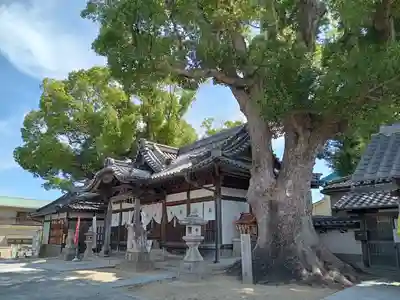 踞尾八幡神社(大阪府)