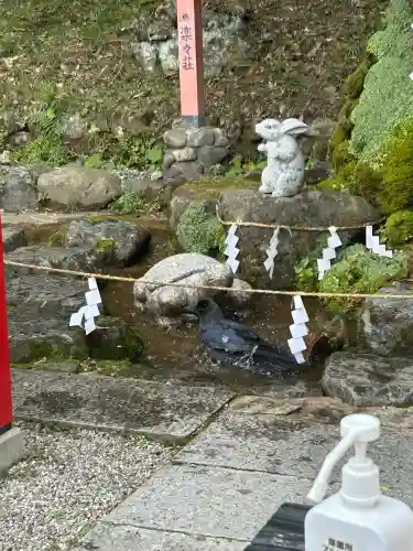 出雲大神宮(京都府)