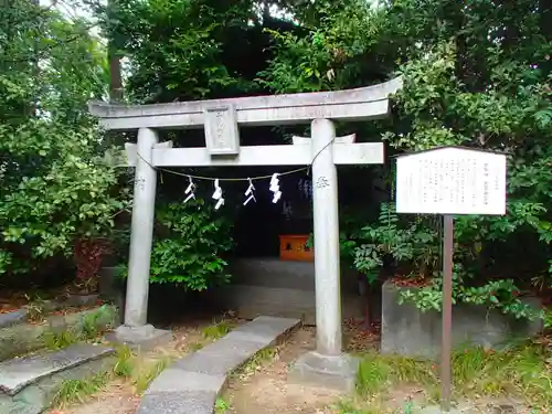 忍　諏訪神社・東照宮　の鳥居