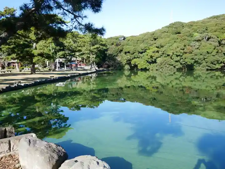 桜ヶ池池宮神社の自然