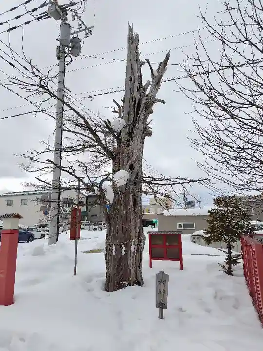 旭川銀座弁天神社の自然