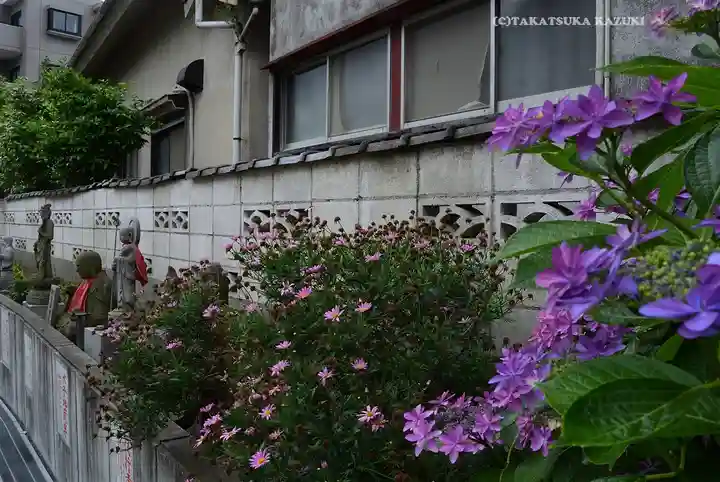 成田山横浜別院延命院(神奈川県)