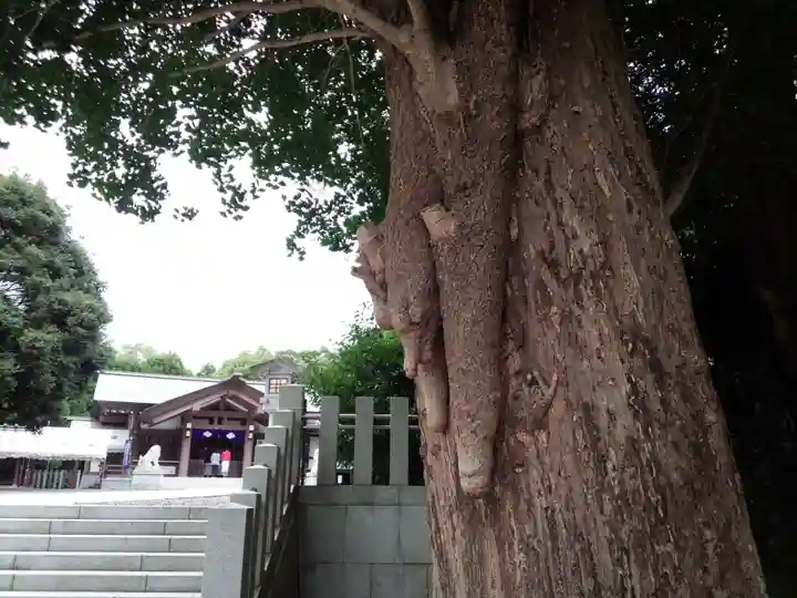 皇大神宮(烏森神社)の自然