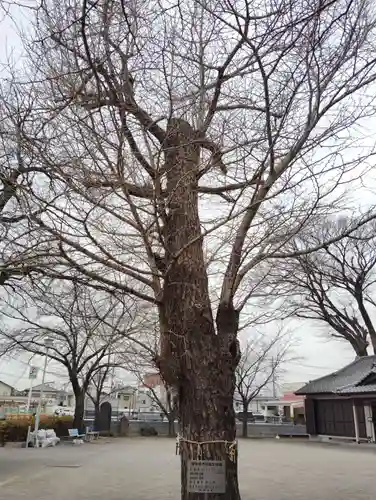 岩神稲荷神社の自然