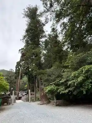 安志加茂神社(兵庫県)