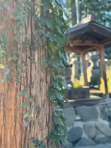 古町豊受大神宮(長野県)