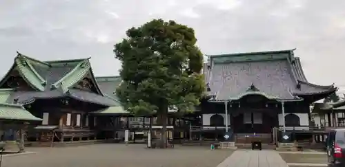 題経寺（柴又帝釈天）のその他建物