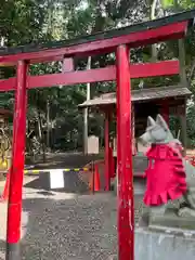 岩槻久伊豆神社(埼玉県)