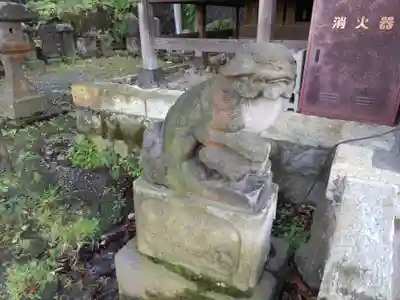 杉山社（帷子町杉山社・久保杉山神社）の狛犬