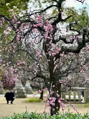 屯倉神社(大阪府)