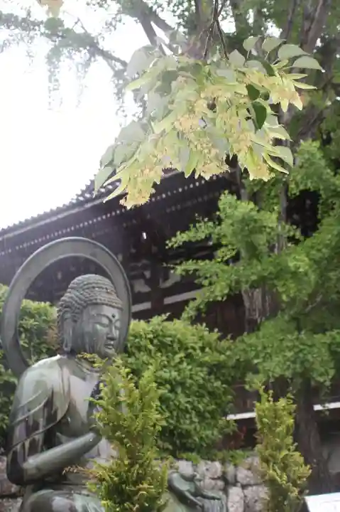 くろ谷 金戒光明寺(京都府)