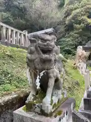 山科神社の狛犬