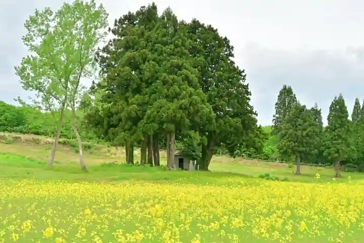 沢山神社(澤山神社)(新潟県)