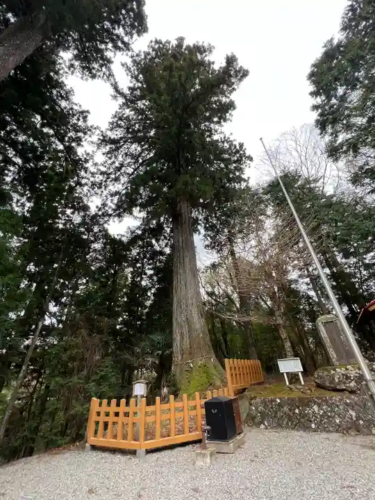 須山浅間神社の自然
