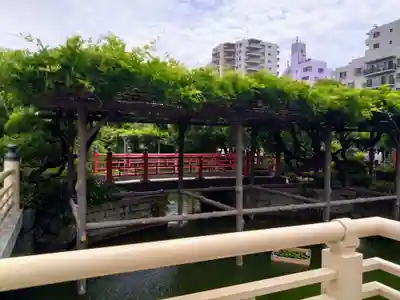 亀戸天神社(東京都)