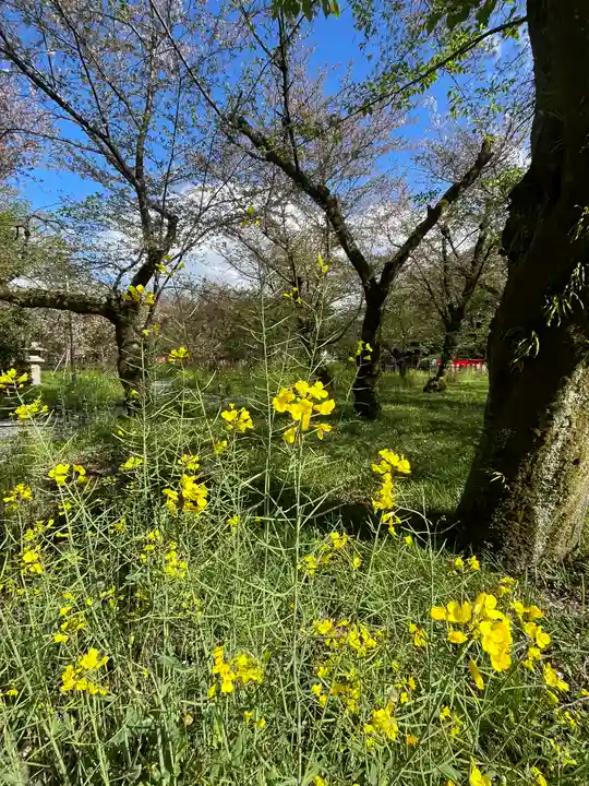 平野神社(京都府)
