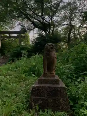 護国寺の{uncategorized: "未分類", other: "その他", undefined: "問題あり", building: "その他建物", grave: "お墓", sacred_gate: "鳥居", guardian: "狛犬", statue: "像", buddha: "仏像", history: "歴史", nature: "自然", garden: "庭園", animal: "動物", pagoda: "塔", temizu: "手水舎", mountain_gate: "山門・神門", sanctuary: "本殿・本堂", subordinate: "末社・摂社", art: "芸術", scenery: "景色", jizo: "地蔵", ema: "絵馬", goshuin: "御朱印", omikuji: "おみくじ", items: "授与品その他", amulet: "お守り", goshuincho: "御朱印帳", eats: "食事", festival: "お祭り", votive_dance: "神楽", shichigosan: "七五三参", wedding: "結婚式", experience: "体験その他", initially: "初詣", around: "周辺", anti_infection: "感染症対策"}
