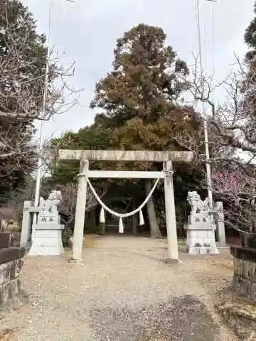 菅原神社の{uncategorized: "未分類", other: "その他", undefined: "問題あり", building: "その他建物", grave: "お墓", sacred_gate: "鳥居", guardian: "狛犬", statue: "像", buddha: "仏像", history: "歴史", nature: "自然", garden: "庭園", animal: "動物", pagoda: "塔", temizu: "手水舎", mountain_gate: "山門・神門", sanctuary: "本殿・本堂", subordinate: "末社・摂社", art: "芸術", scenery: "景色", jizo: "地蔵", ema: "絵馬", goshuin: "御朱印", omikuji: "おみくじ", items: "授与品その他", amulet: "お守り", goshuincho: "御朱印帳", eats: "食事", festival: "お祭り", votive_dance: "神楽", shichigosan: "七五三参", wedding: "結婚式", experience: "体験その他", initially: "初詣", around: "周辺", anti_infection: "感染症対策"}