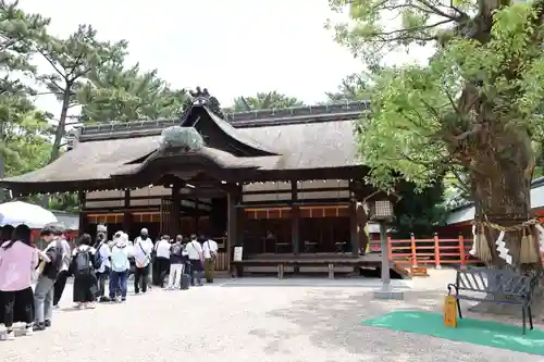 住吉大社(大阪府)