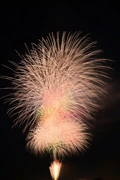 高龍神社(新潟県)