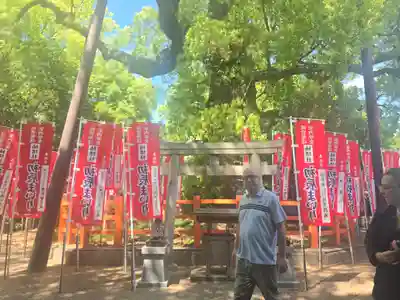 楠珺社(住吉大社末社)(大阪府)