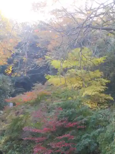 安國論寺（安国論寺）の自然