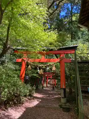 磐手杜神社(大阪府)