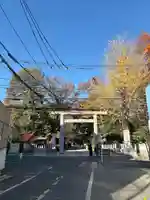 阿佐ヶ谷神明宮(東京都)